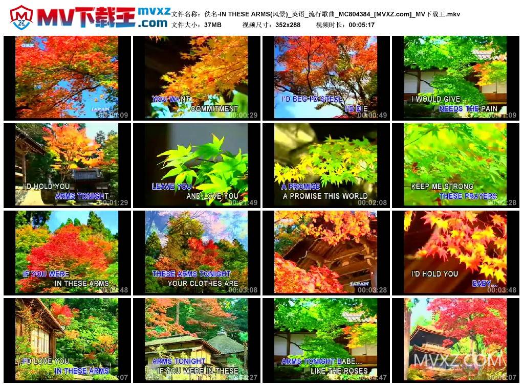 佚名-IN THESE ARMS(风景)_英语_流行歌曲_MC804384